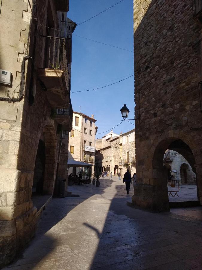 Apartament Can Mingu Besalú Bagian luar foto